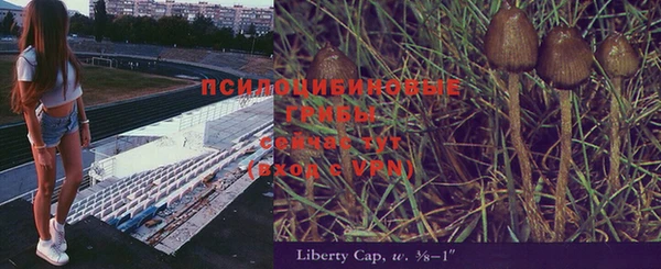 2c-b Баксан