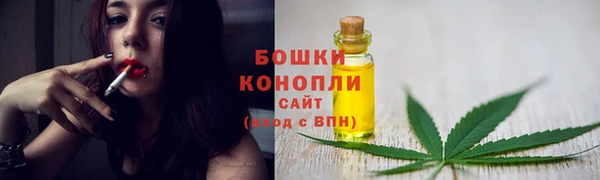 бутират Туринск
