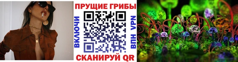 Псилоцибиновые грибы прущие грибы  Петровск 
