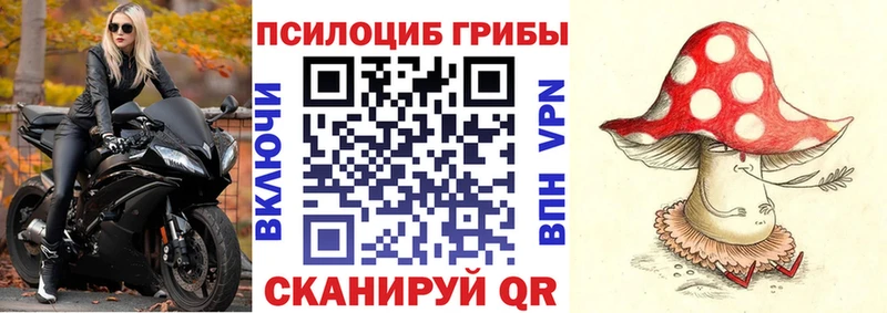 Галлюциногенные грибы прущие грибы Петровск